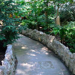 About the Gardens