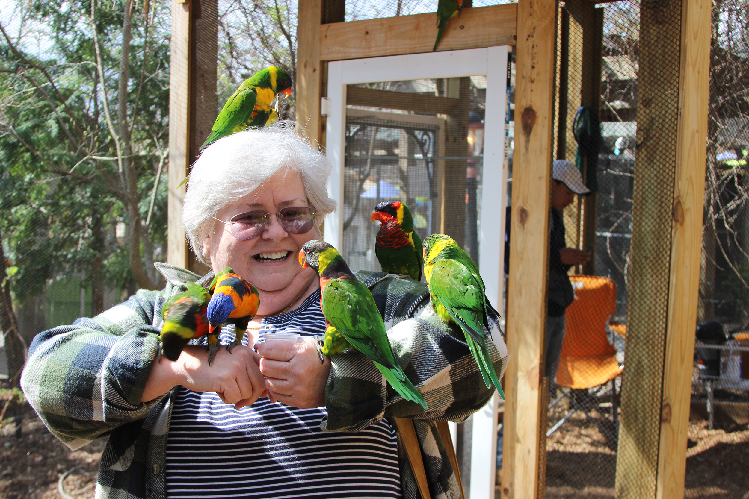 See Touch And Feed Parrot Mountain And Gardens