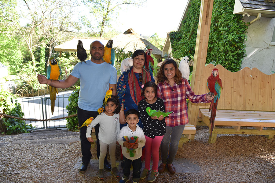 See Touch And Feed Parrot Mountain And Gardens