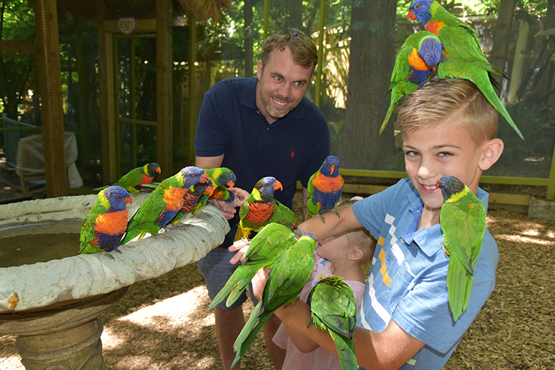 Parrot Mountain And Gardens Follow The Rainbow To Parrot Mountain